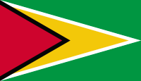 Guyana-Bandera-America